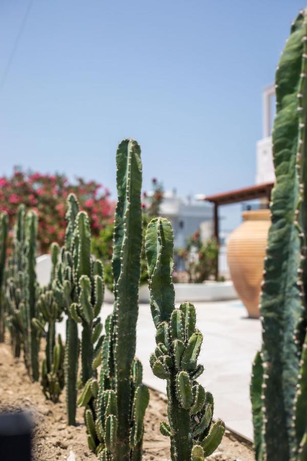 Nόka Suite Apartments Faliraki Exteriör bild